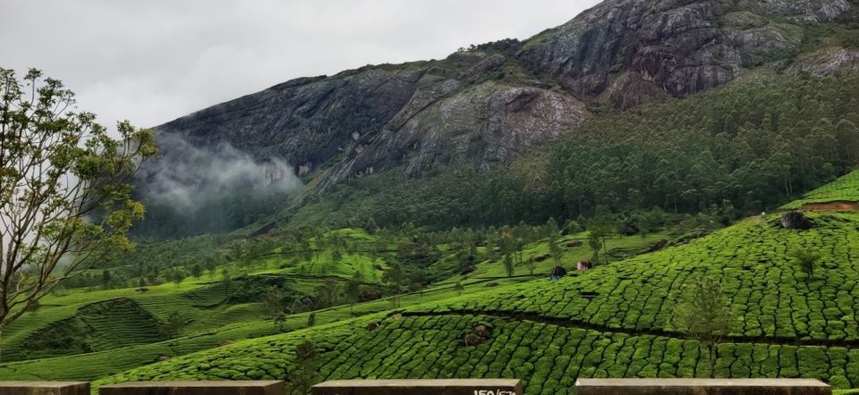 Photo of Hill Station, Beach, Backwaters, Forests and City Sights - All In Just Ten Days In God's Own Country by Rupa Abdi