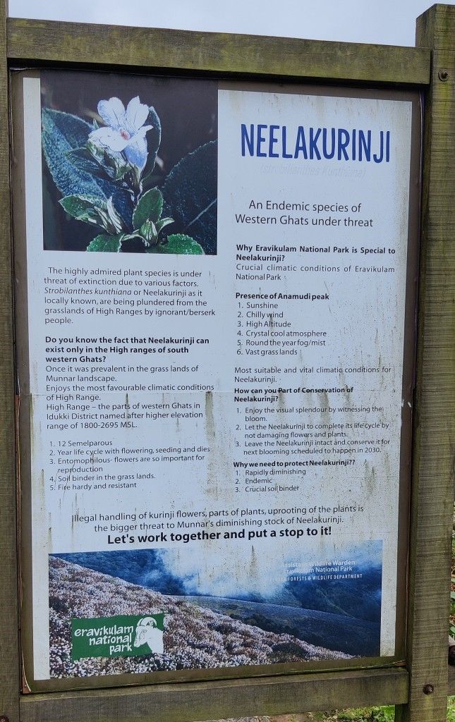 Photo of Hill Station, Beach, Backwaters, Forests and City Sights - All In Just Ten Days In God's Own Country by Rupa Abdi
