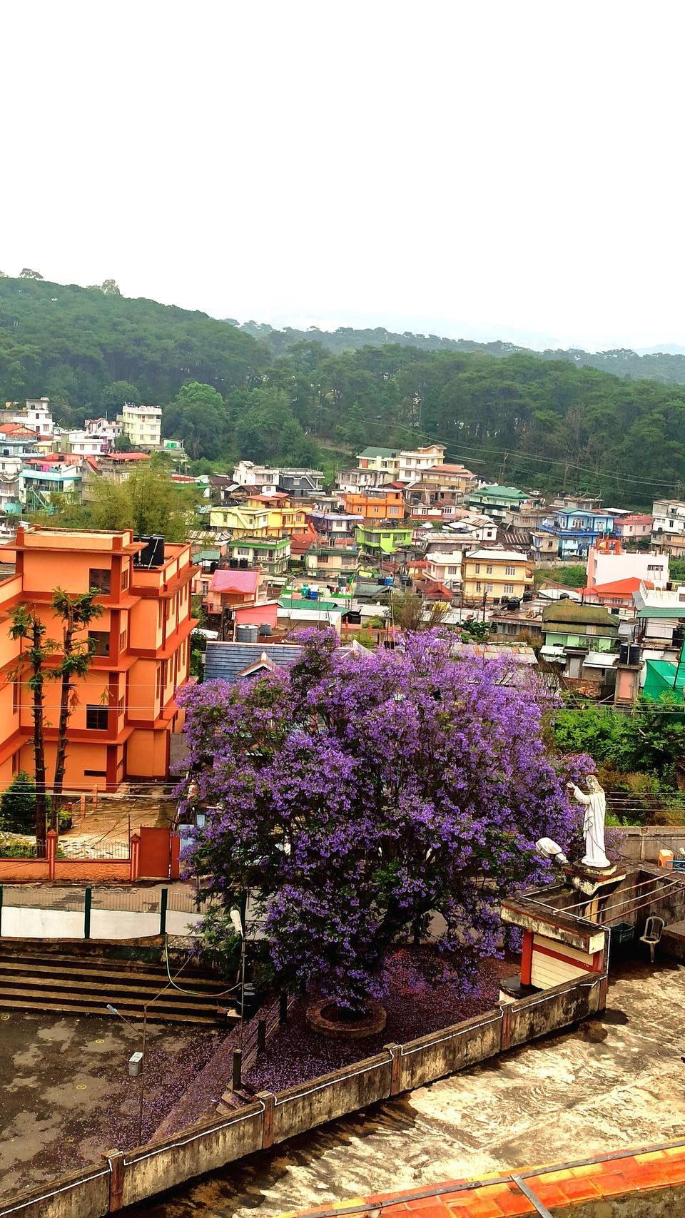 Photo of Meghalaya: Chase the Waterfalls, Cross the Root-Bridges and Adore the Clouds by Saheli Bera