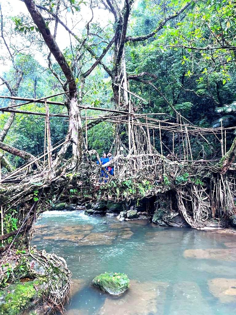 Photo of Meghalaya: Chase the Waterfalls, Cross the Root-Bridges and Adore the Clouds by Saheli Bera