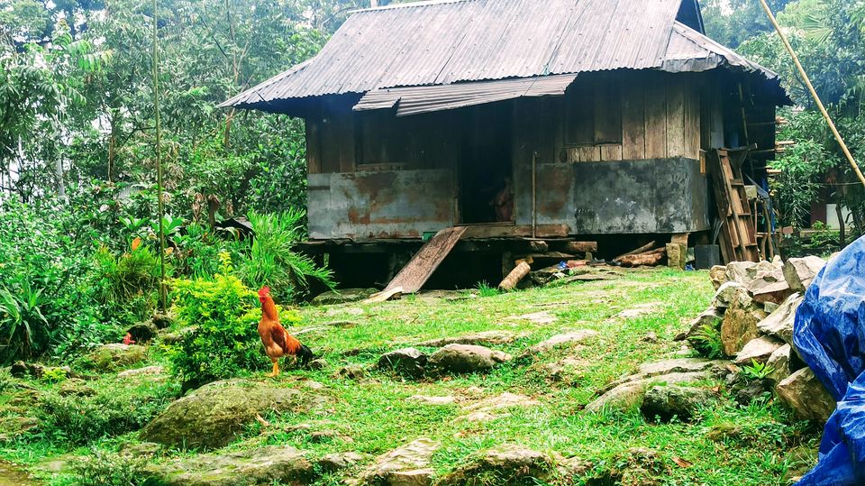Photo of Meghalaya: Chase the Waterfalls, Cross the Root-Bridges and Adore the Clouds by Saheli Bera