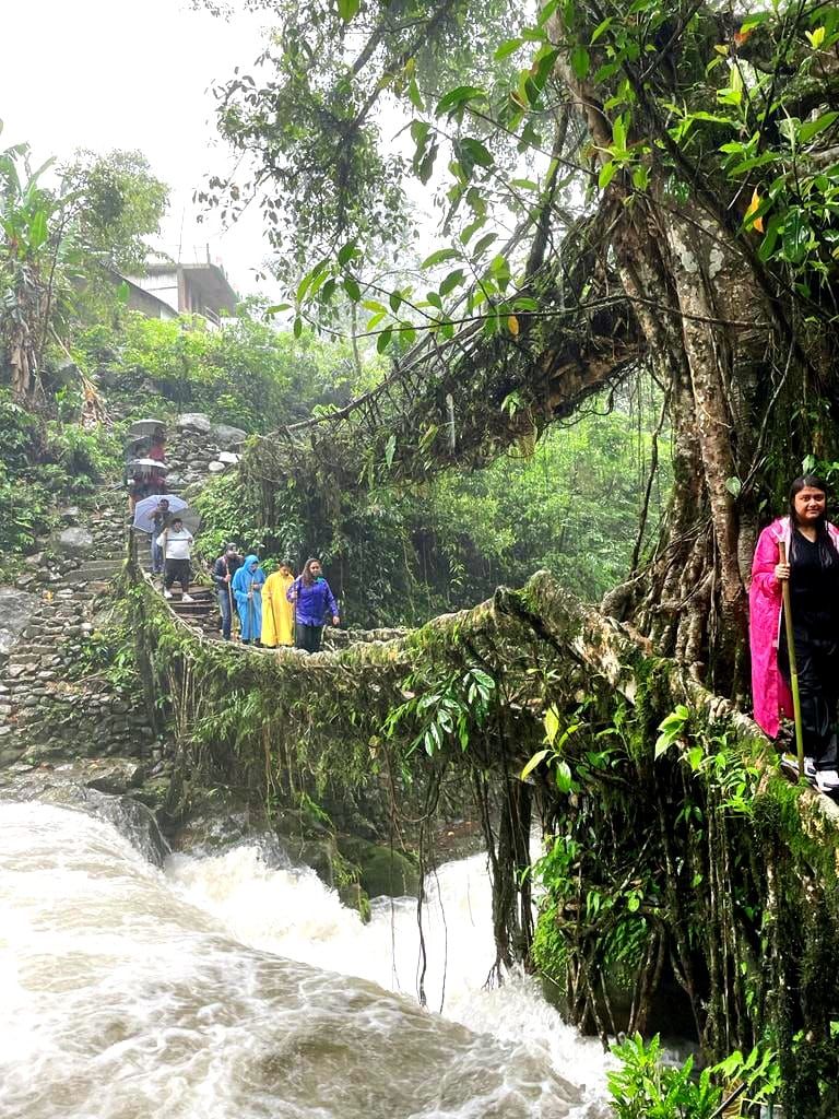 Photo of Meghalaya: Chase the Waterfalls, Cross the Root-Bridges and Adore the Clouds by Saheli Bera