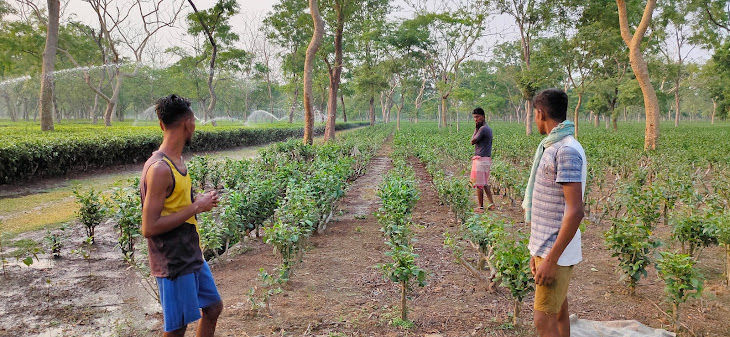 Photo of The East India Cycle Yatra [no Money] between Lockdowns #TM2021 #TEICY by Ankit Das