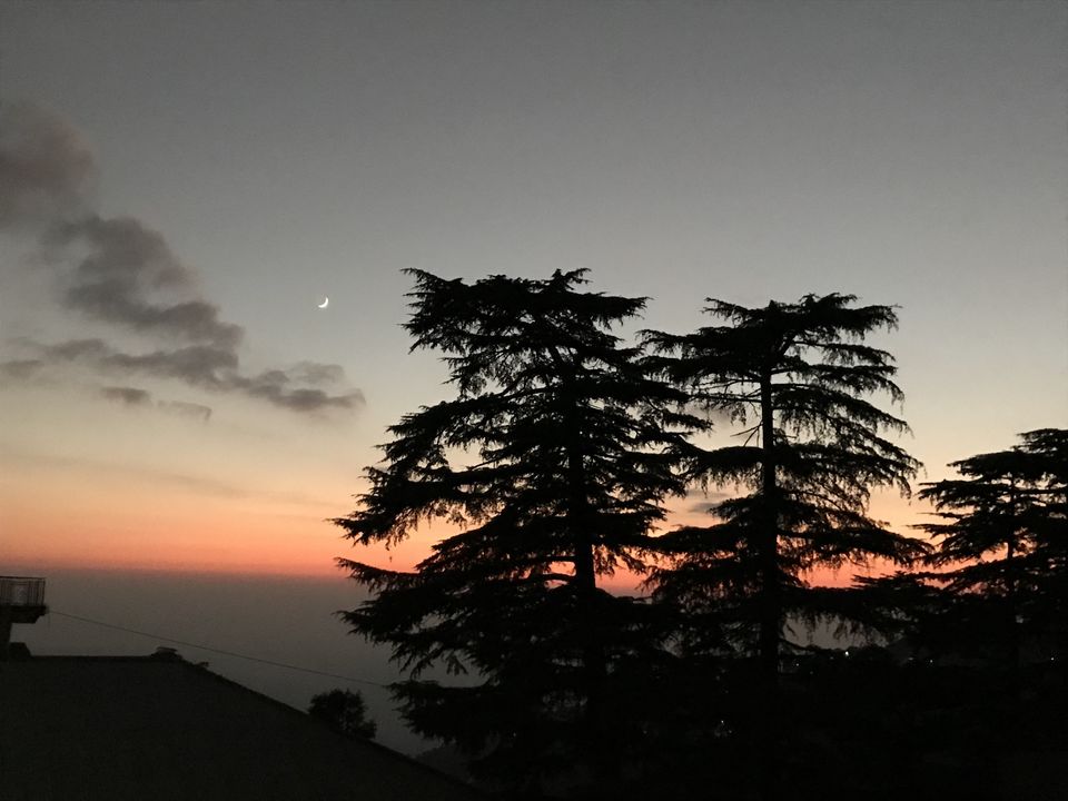 Photo of Mcleodganj - A Place That Made Me Fall In Love With The Mountains by Devika