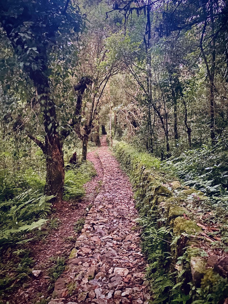 Photo of I Explored Sikkim's Best Kept Secret Destination & It Left Me in Awe! by Devika