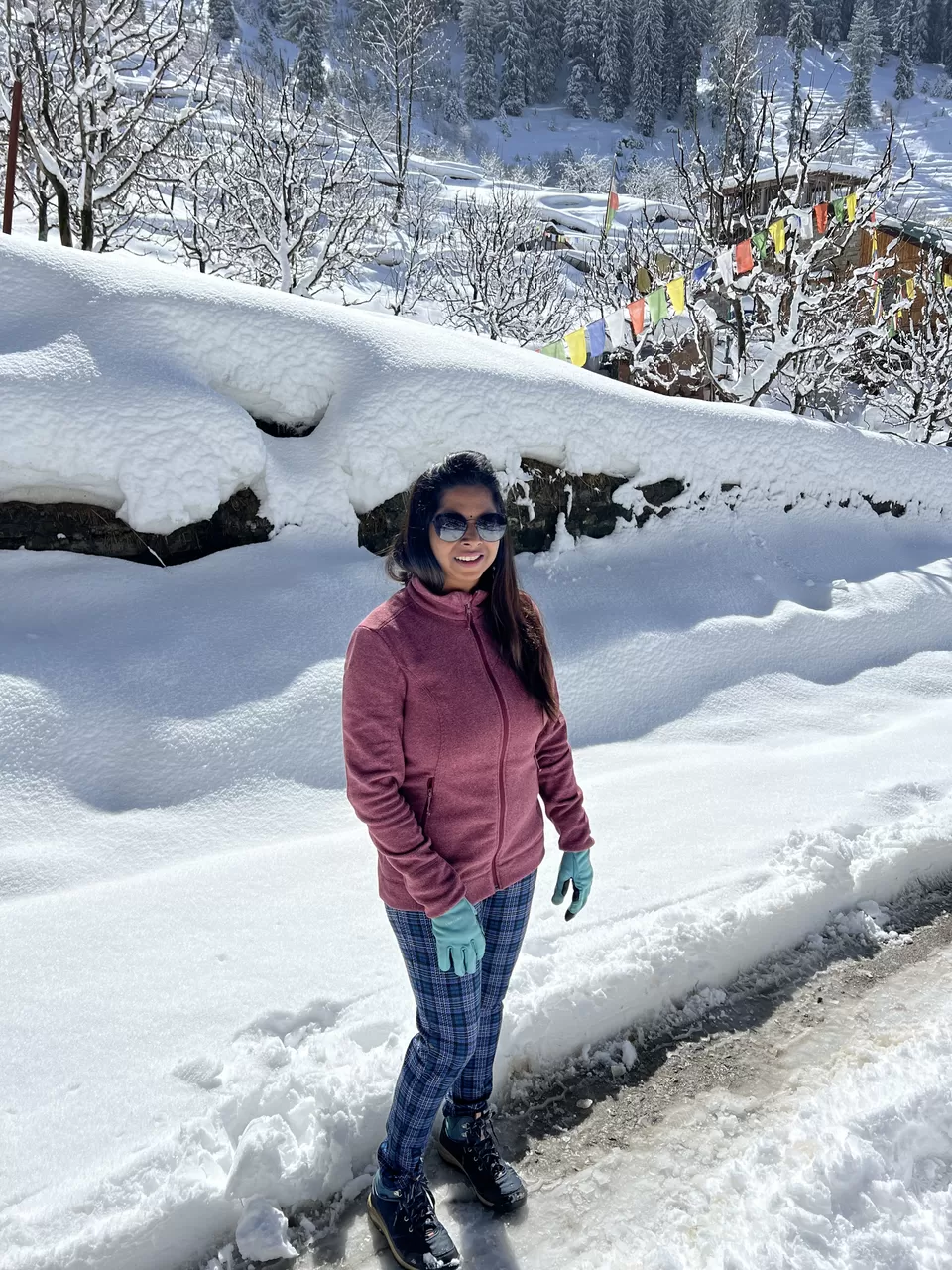 Photo of Sethan, Mandi Division by Uma S