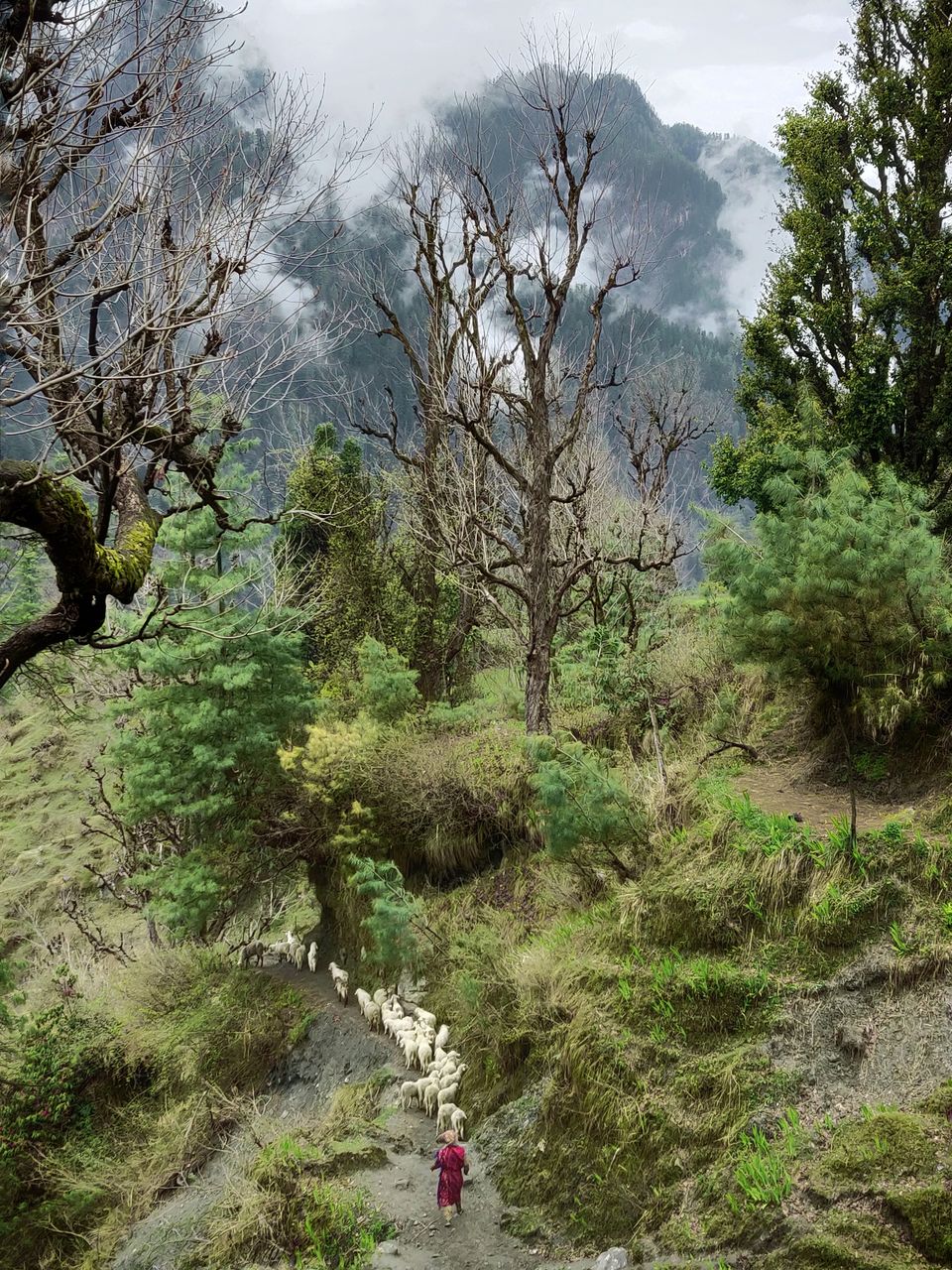 Photo of This Quaint Village In Parvati Valley Is A Hidden Gem That You Should Explore! by Aman Vp