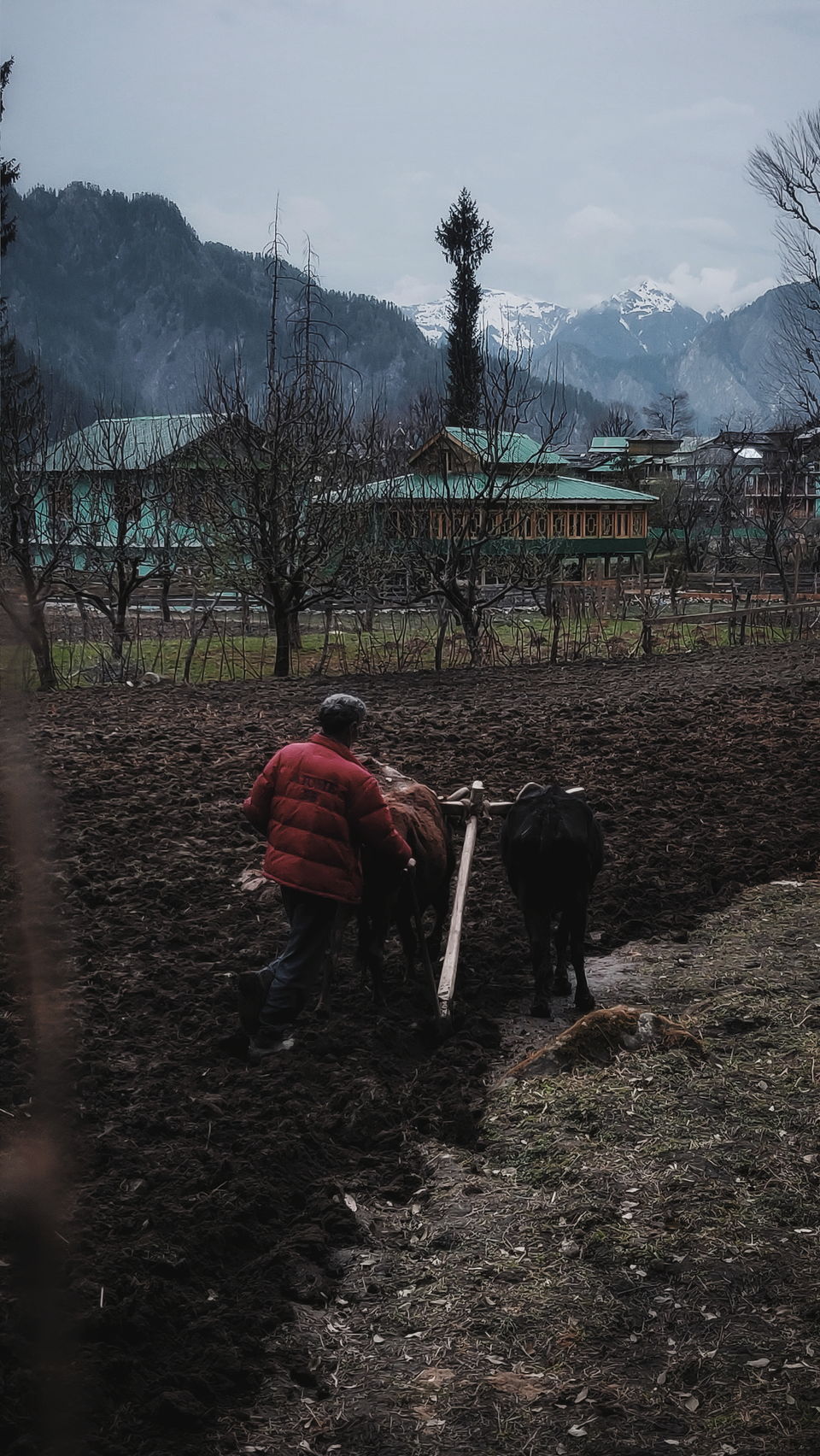 Photo of This Quaint Village In Parvati Valley Is A Hidden Gem That You Should Explore! by Aman Vp