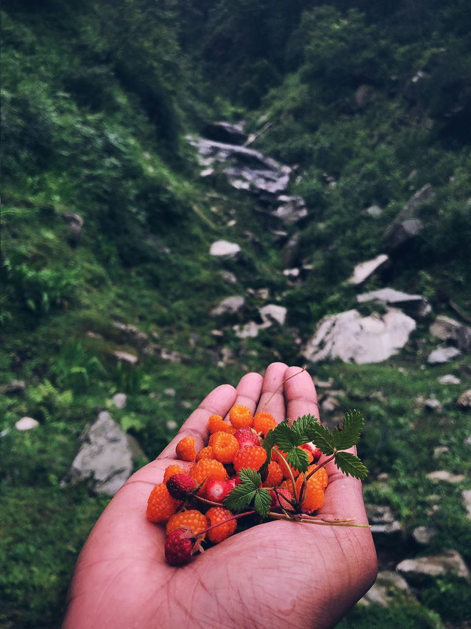Photo of This Quaint Village In Parvati Valley Is A Hidden Gem That You Should Explore! by Aman Vp