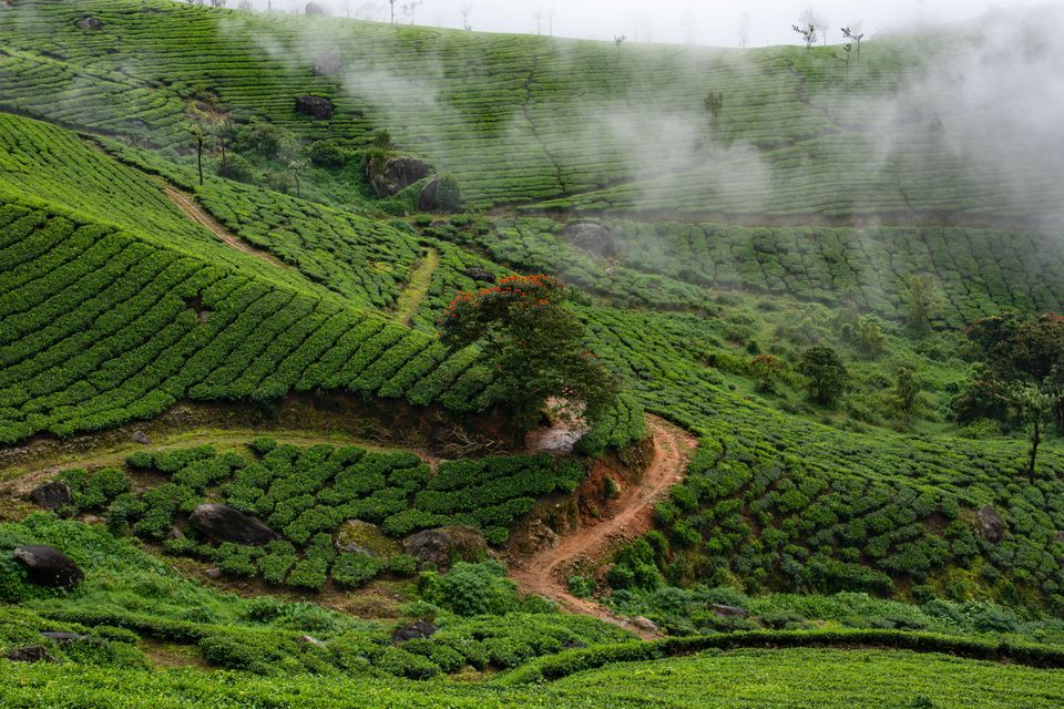 Photo of Experience the Best of Monsoon With These Trendy goSTOPS Stays Under Rs 2,000 by Ila Reddy