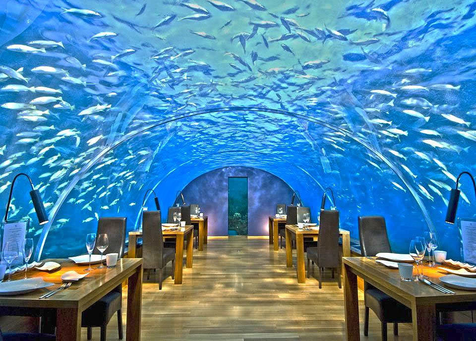 Photo of Fun Activities You Can Do On Your Maldives Vacay! by Shraddha Bansode 📸