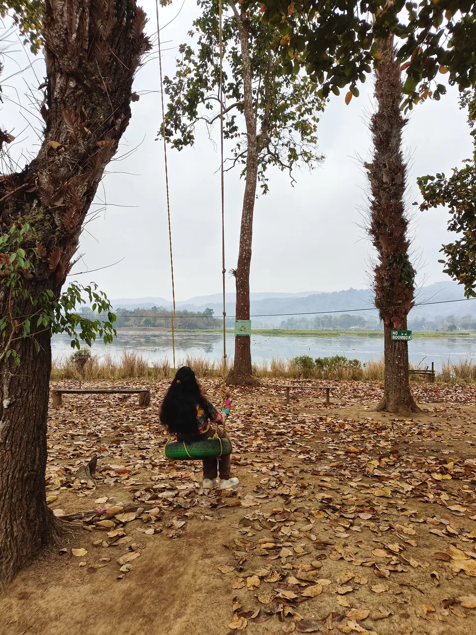 Photo of Chandubi Jungle Camp, Barduar Tea Garden No.3 by Sharayu Bafna