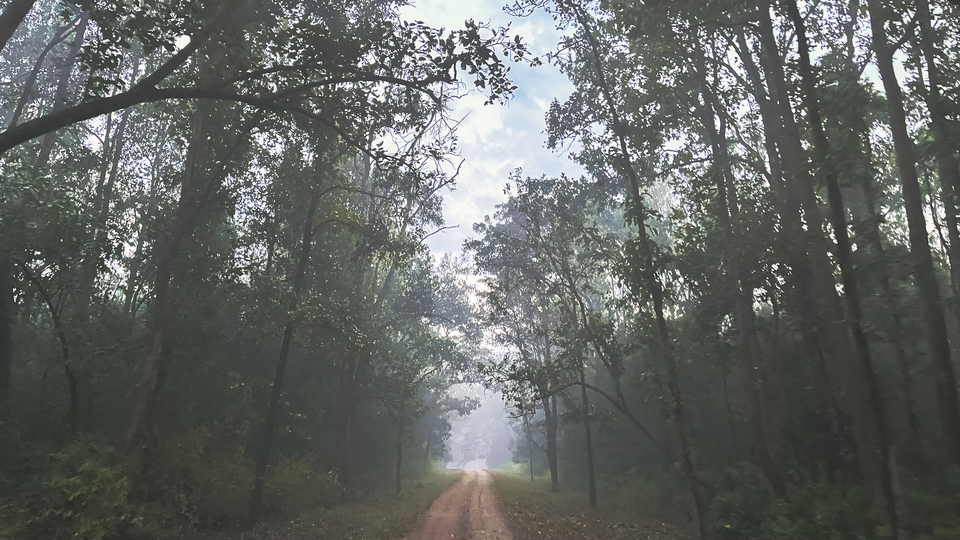Photo of Majestic Kanha by Santhosham