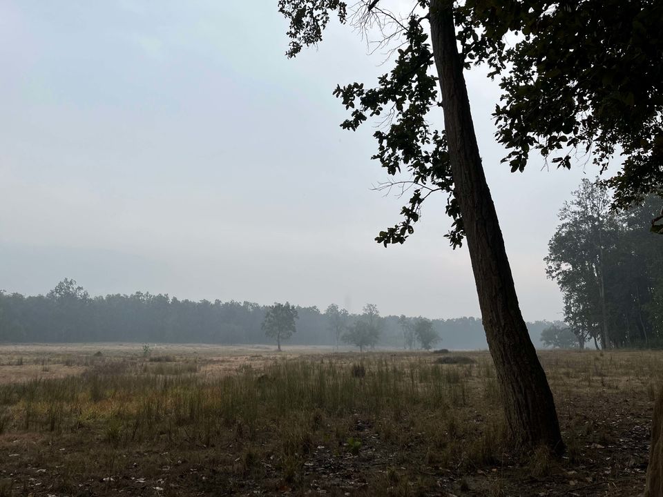 Photo of Majestic Kanha by Santhosham