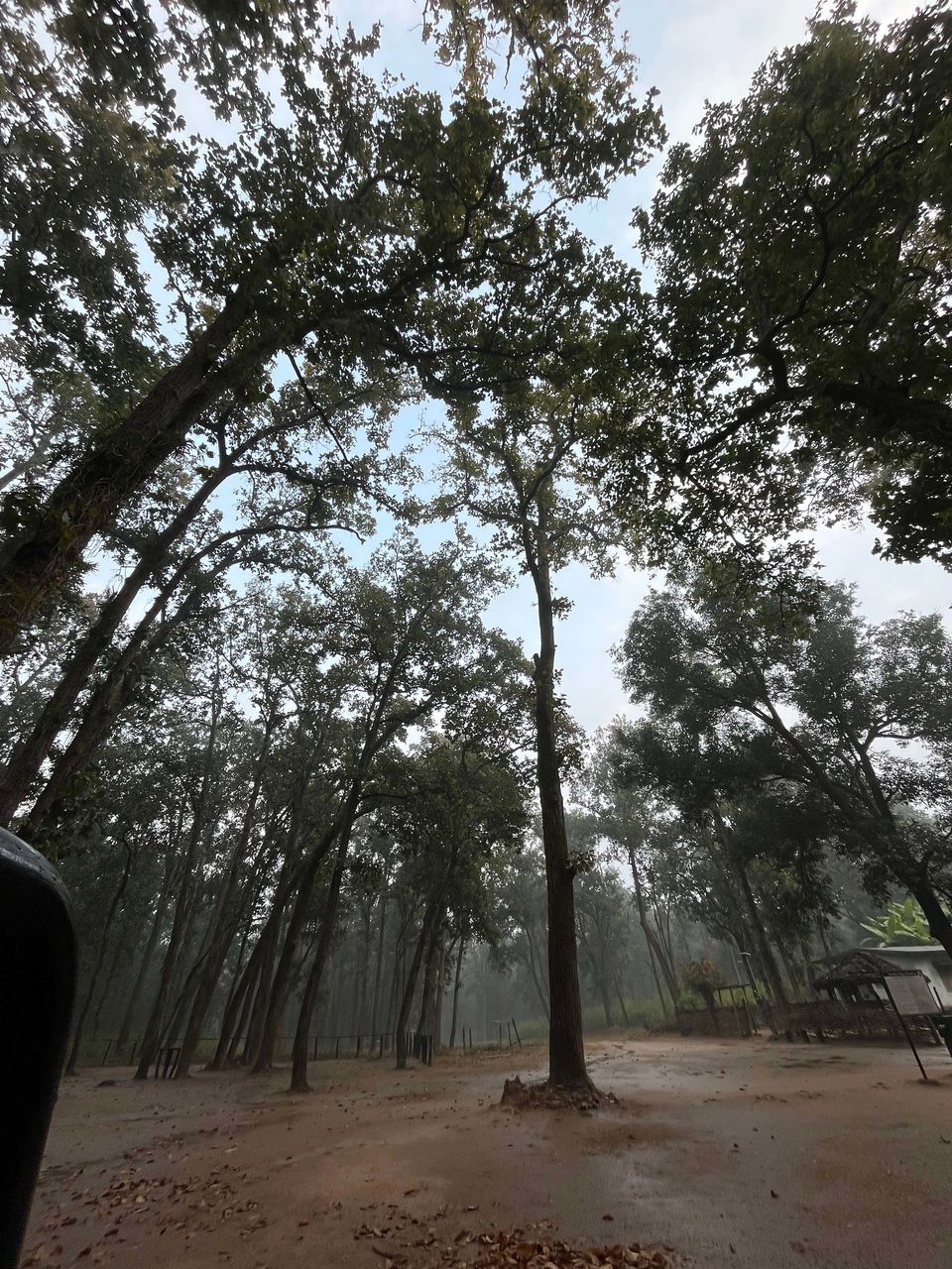 Photo of Majestic Kanha by Santhosham