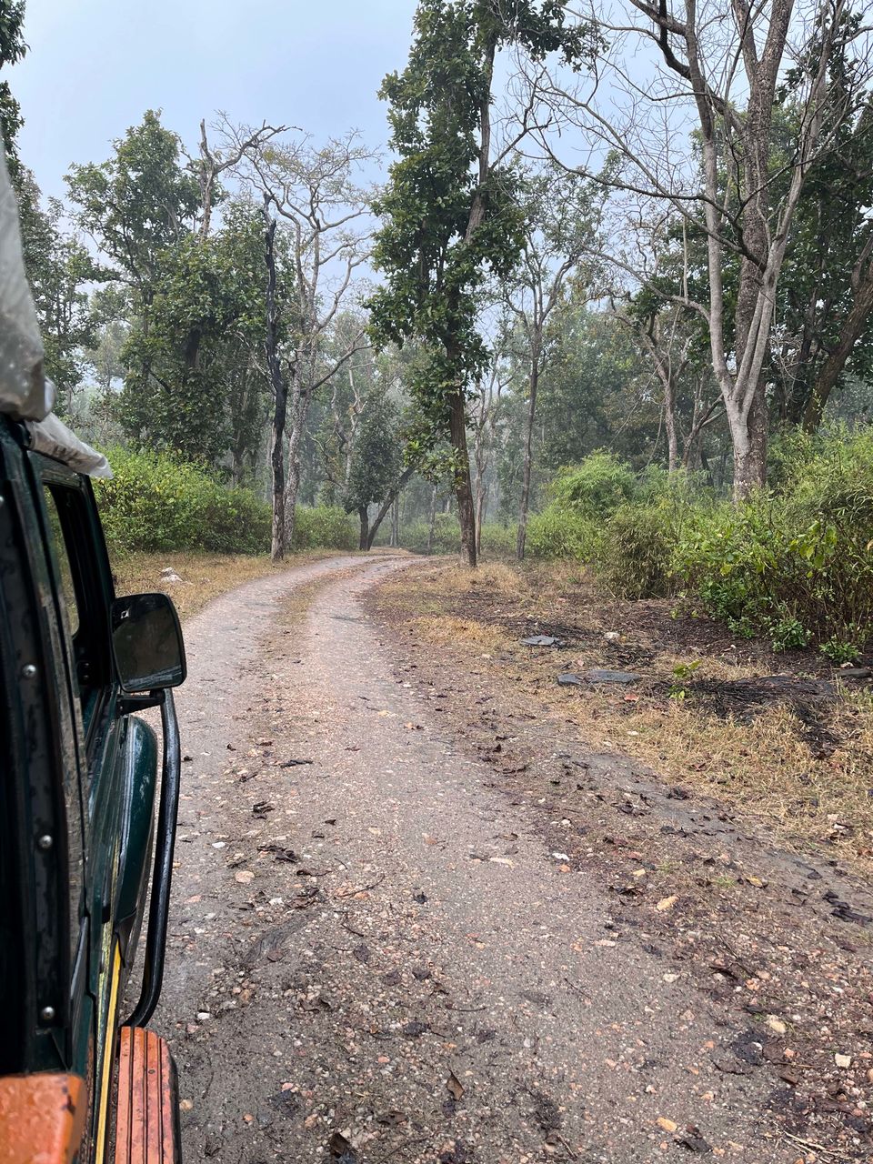 Photo of Majestic Kanha by Santhosham