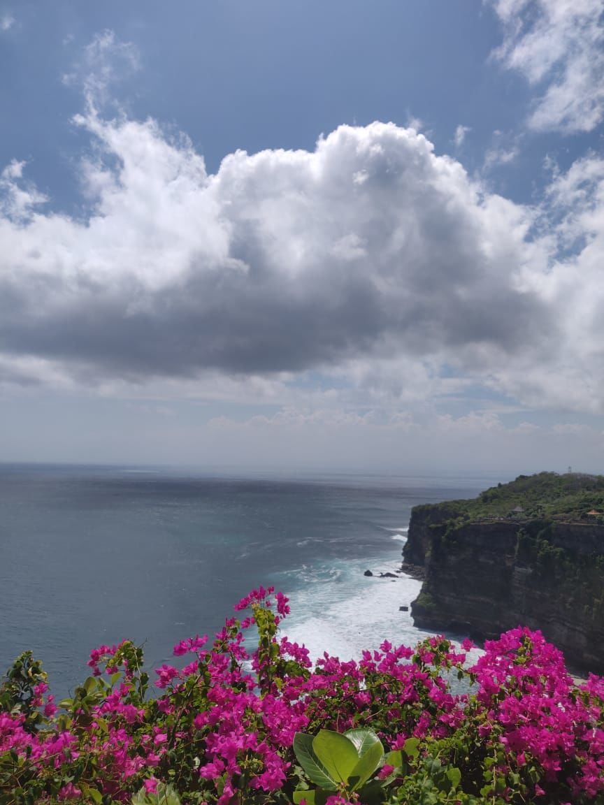 Photo of The Perfect Bali Backpacking Travel Guide by Shruti Jha