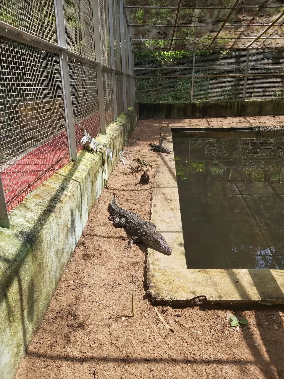 Photo of Gharial Research Centre, Tikarpada, Northern Division by Nitin Singh