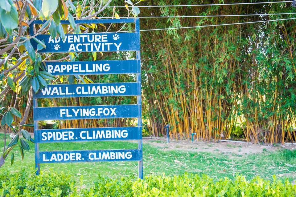 Photo of 5 Reasons Why the Golden Tusk Resort Makes Your Jim Corbett Trip Better Than Usual! by Niyati Saxena (migrantmusings)