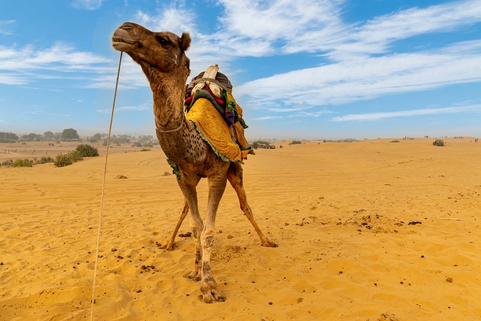 Photo of Here’s Where You Should Travel in 2023 According to Your Zodiac Sign! by Niyati Saxena (migrantmusings)