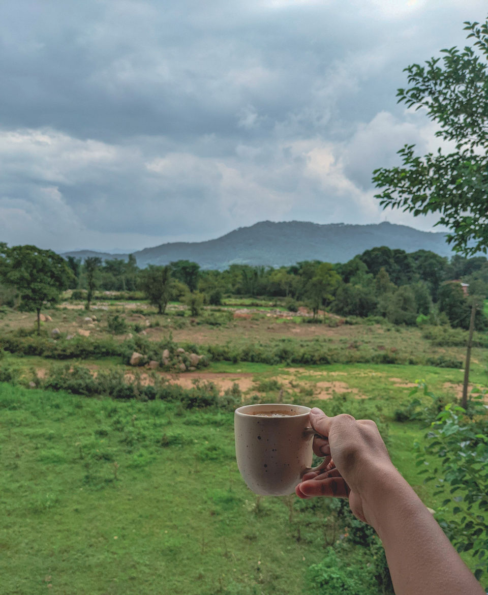 Photo of Starting at Rs 450, this is the Perfect Hostel for Every Backpacker in Bir, Himachal Pradesh by Prakriti Arora