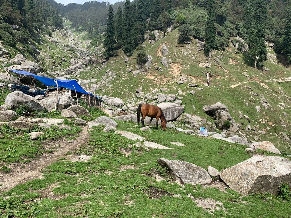 trek in kareri village