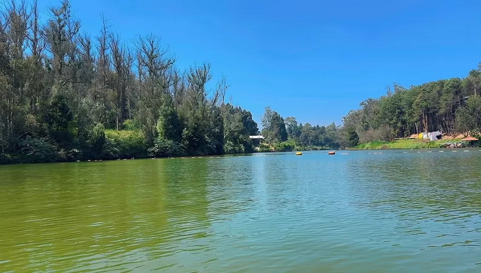 Photo of Ooty Lake, Ooty by Sonal Jain