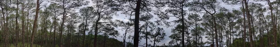 Photo of Caves, Waterfalls, and Jungles in Meghalaya - A 8D/7N Itinerary for perfect Summer [2024] by Ashish G