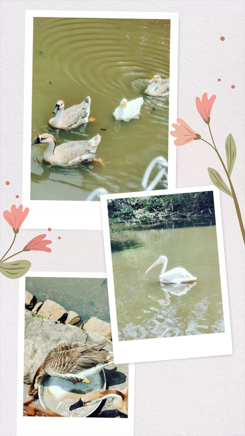 Photo of Caves, Waterfalls, and Jungles in Meghalaya - A 8D/7N Itinerary for perfect Summer [2024] by Ashish G