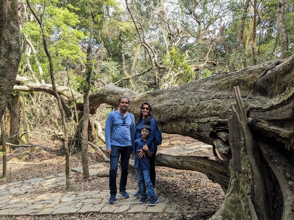 Photo of Caves, Waterfalls, and Jungles in Meghalaya - A 8D/7N Itinerary for perfect Summer [2024] by Ashish G