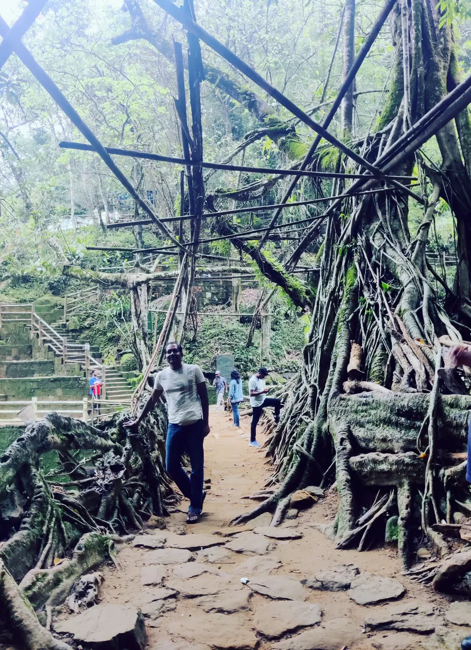 Photo of Caves, Waterfalls, and Jungles in Meghalaya - A 8D/7N Itinerary for perfect Summer [2024] by Ashish G