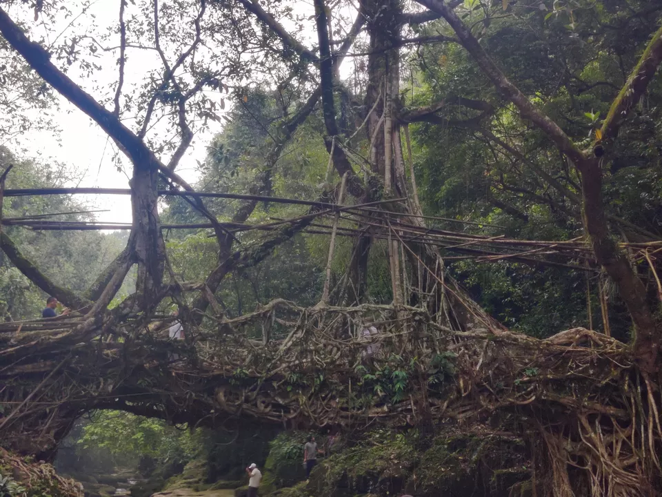 Photo of Caves, Waterfalls, and Jungles in Meghalaya - A 8D/7N Itinerary for perfect Summer [2024] by Ashish G