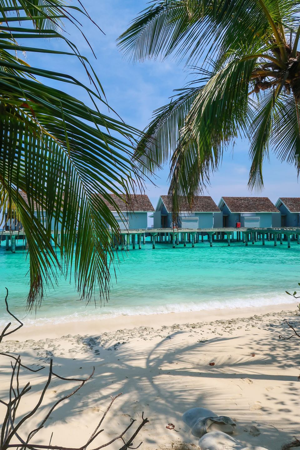 Photo of Five reasons Kuramathi Island should be on your bucketlist for that dreamy Maldives vacation by Wayfareralivia