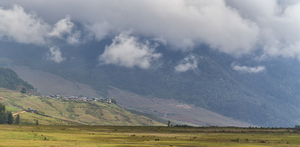 Photo of Bhutan - A Travel Photographer's Quick Guide ! by Puneet Verma