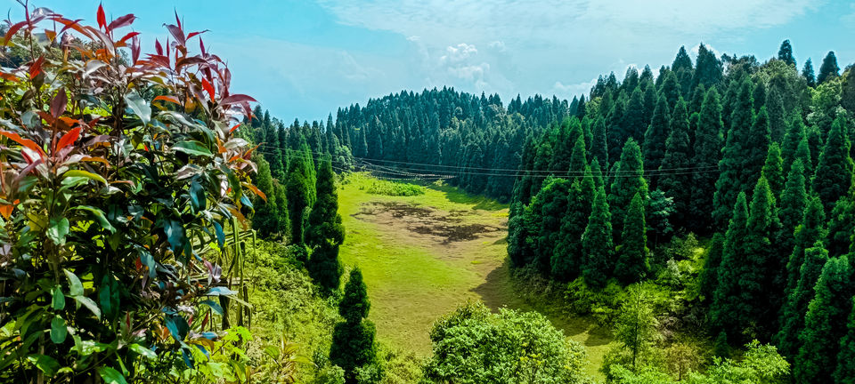 Photo of To the land of White Orchids, Kuseong and Ahaldara , an Offbeat North Bengal Hill Station by RAhul Debnath