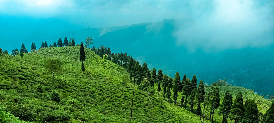 Photo of To the land of White Orchids, Kuseong and Ahaldara , an Offbeat North Bengal Hill Station by RAhul Debnath