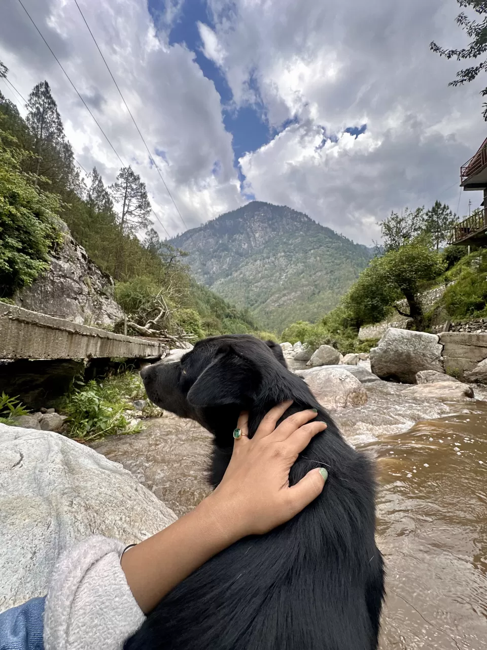 Photo of Time Slows Down In This Little Heaven in Himachal: Gone Fishing Cottages, Tirthan Valley by Nupur