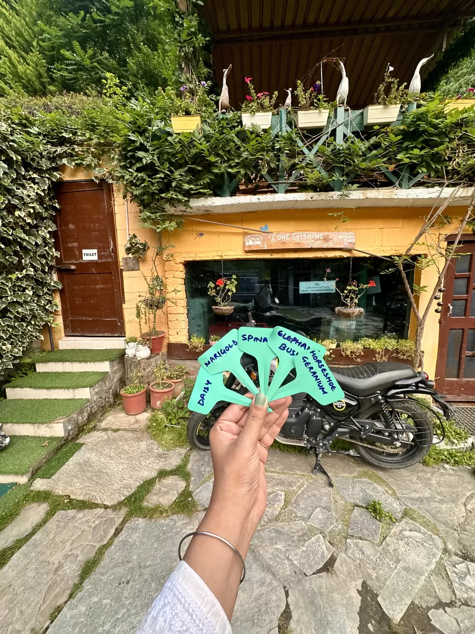 Photo of Time Slows Down In This Little Heaven in Himachal: Gone Fishing Cottages, Tirthan Valley by Nupur