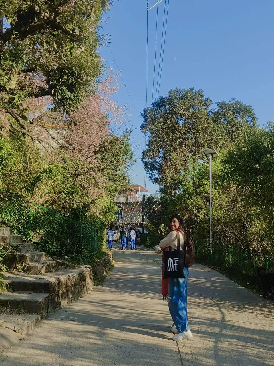 Photo of Between Cherry Blossoms and Cinema: Two Days At Dharamshala Film Festival by Nupur