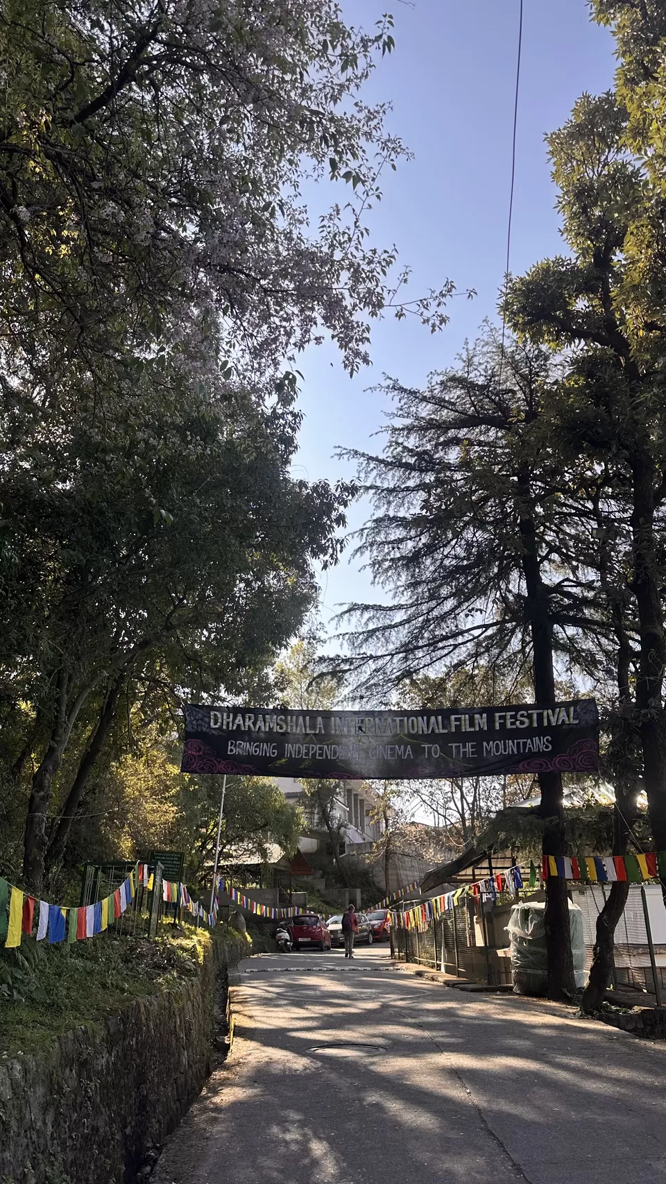 Photo of Between Cherry Blossoms and Cinema: Two Days At Dharamshala Film Festival by Nupur