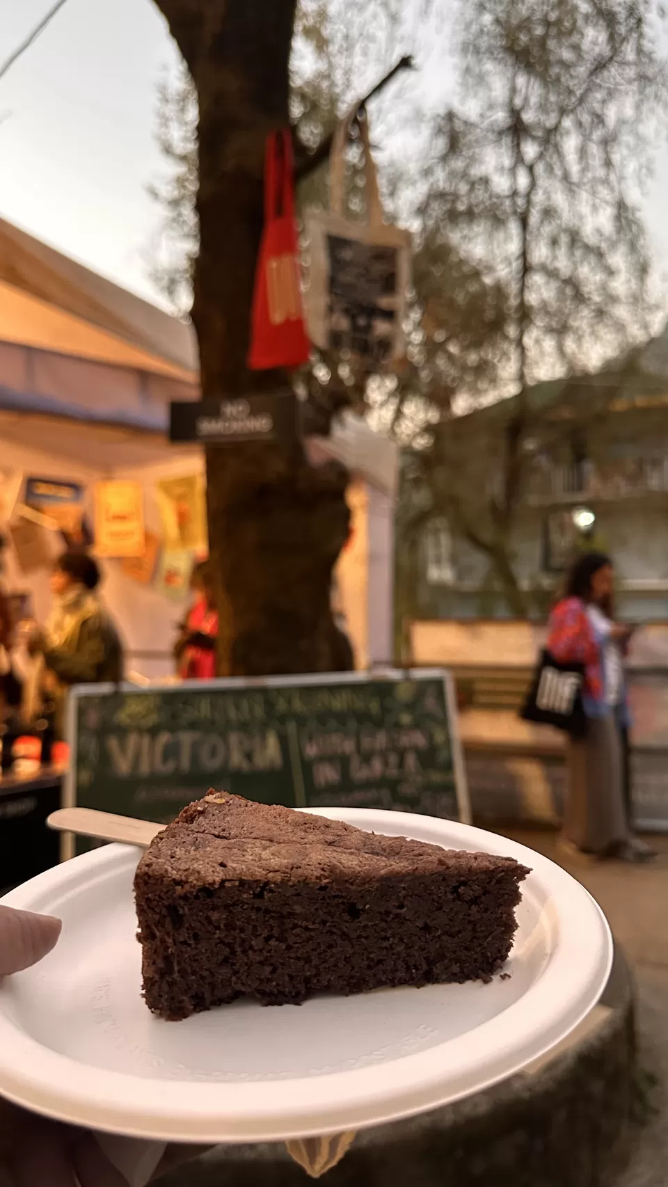 Photo of Between Cherry Blossoms and Cinema: Two Days At Dharamshala Film Festival by Nupur