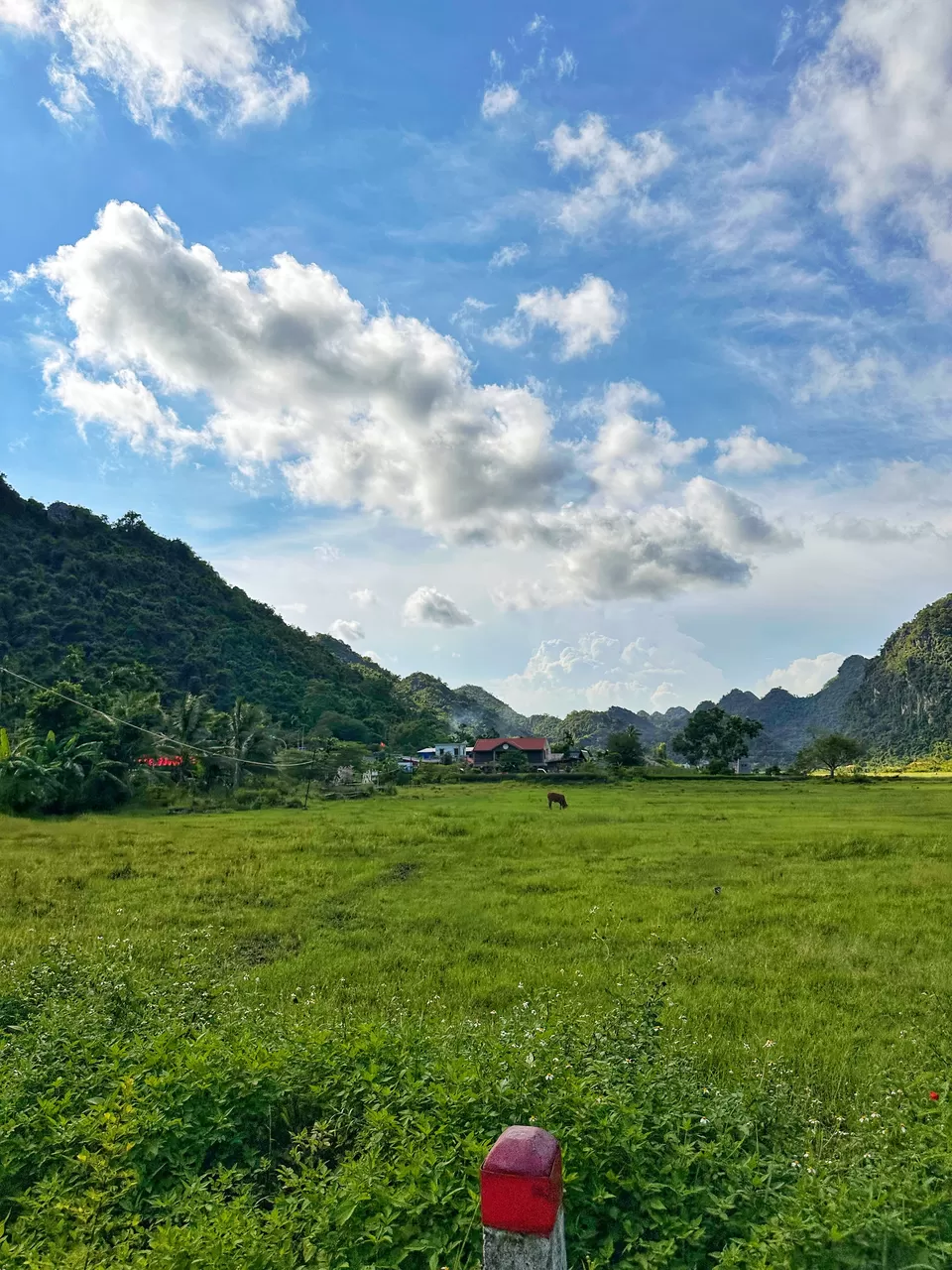 Photo of Viet Hai Village: A Poetic Hamlet In Vietnam by Nupur
