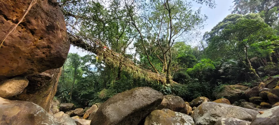 Photo of A nature enriched journey through the stunning Shillong- Meghalaya - TOP 10 places in Shillong by Nisha Jagadesh