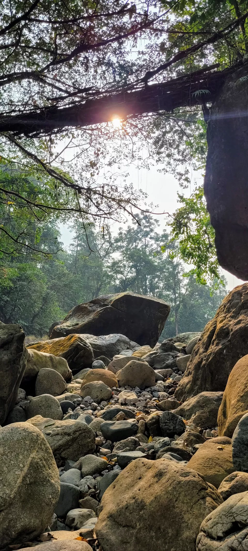Photo of A nature enriched journey through the stunning Shillong- Meghalaya - TOP 10 places in Shillong by Nisha Jagadesh