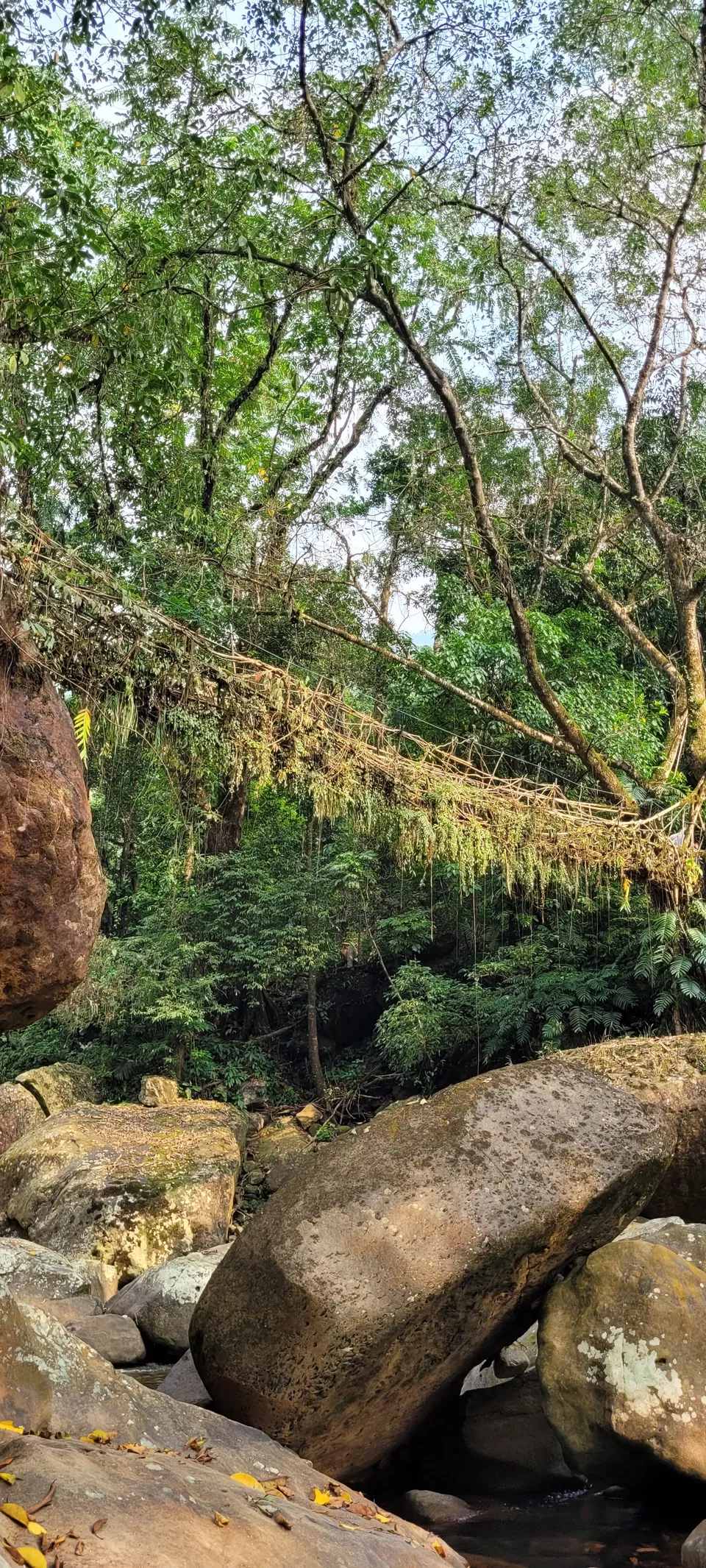 Photo of A nature enriched journey through the stunning Shillong- Meghalaya - TOP 10 places in Shillong by Nisha Jagadesh