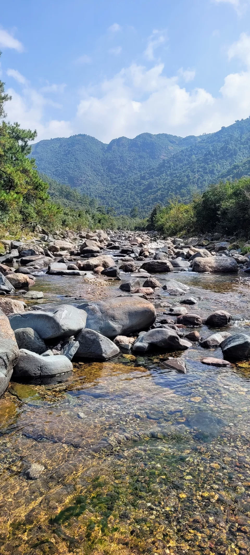 Photo of A nature enriched journey through the stunning Shillong- Meghalaya - TOP 10 places in Shillong by Nisha Jagadesh