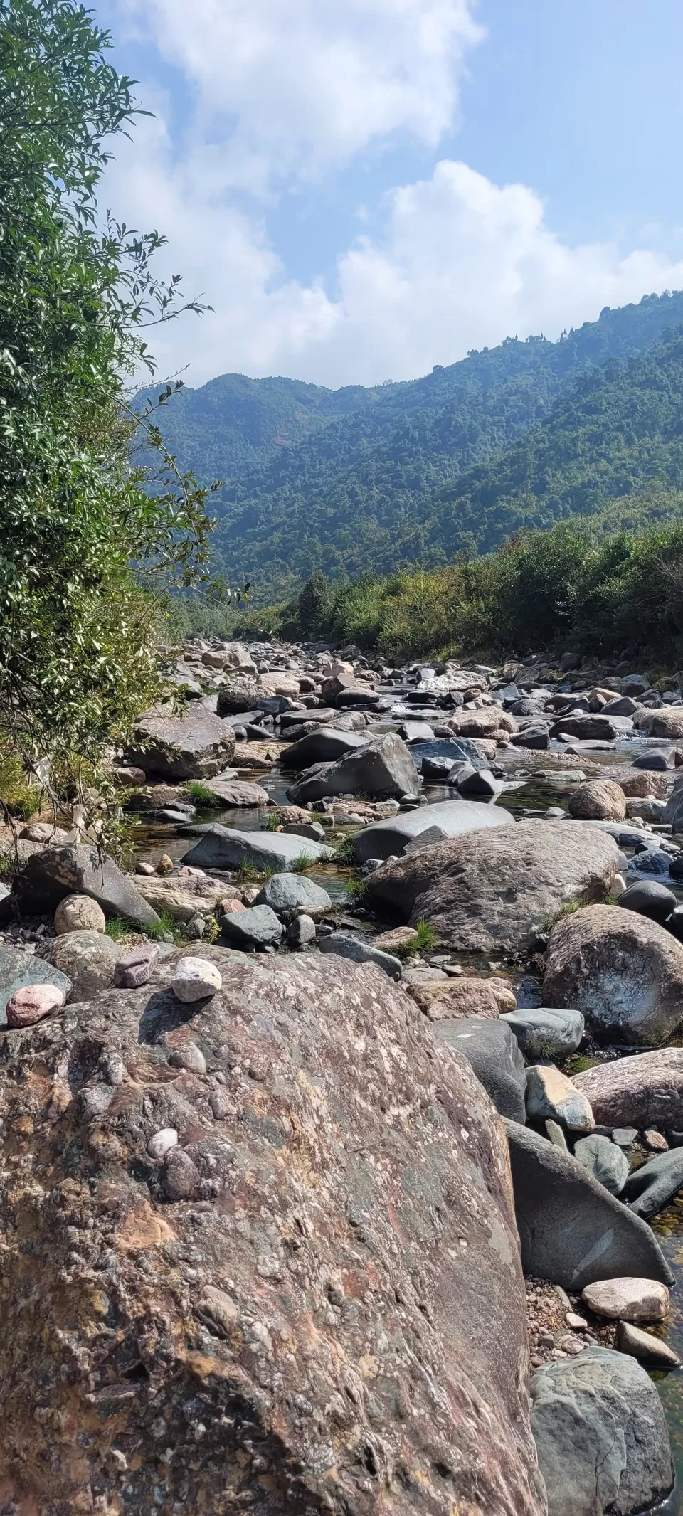 Photo of A nature enriched journey through the stunning Shillong- Meghalaya - TOP 10 places in Shillong by Nisha Jagadesh