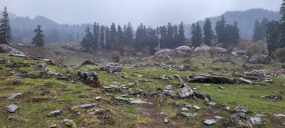 Photo of Kuari Pass Himalayan trek - The Lord Curzon Trail Through the Garhwal Himalayas by Nisha Jagadesh