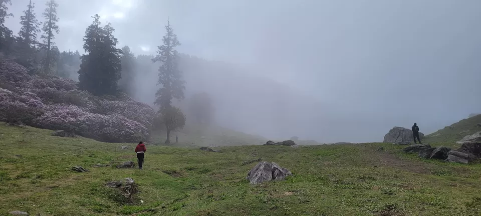 Photo of Kuari Pass Himalayan trek - The Lord Curzon Trail Through the Garhwal Himalayas by Nisha Jagadesh