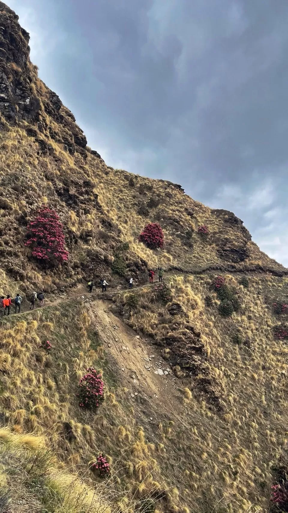 Photo of Kuari Pass Himalayan trek - The Lord Curzon Trail Through the Garhwal Himalayas by Nisha Jagadesh